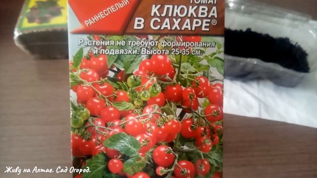 Семена томата для выращивания на подоконнике. Грунт для посева. смотреть онлайн