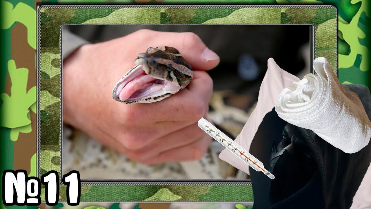 СЛУЖБА В АРМИИ - Как я ДУШИЛ СВОЮ ЗМЕЮ и в госпиталь попал [№11] смотреть онлайн