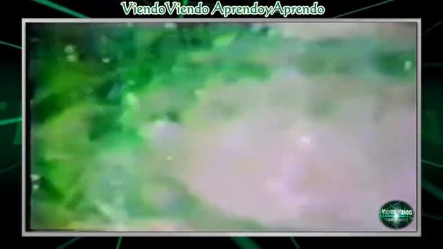 Атомные ионы: катионы и анионы.