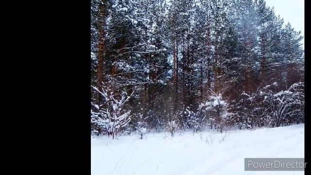 9 февраля-народный праздник ЗЛАТОУСТОВ ДЕНЬ Избегайте травм .Что категорически нельзя делать. смотреть онлайн