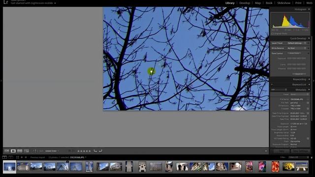 Обзор объектива Yongnuo Ynlens 35mm F/2 S DF DSM для Sony E (под полный кадр и кроп Sony E, FE) смотреть онлайн