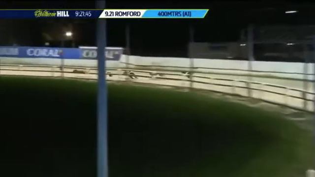 Bubbly Melody Winning Her Race In Trap 6 At Romford. Xxx смотреть онлайн