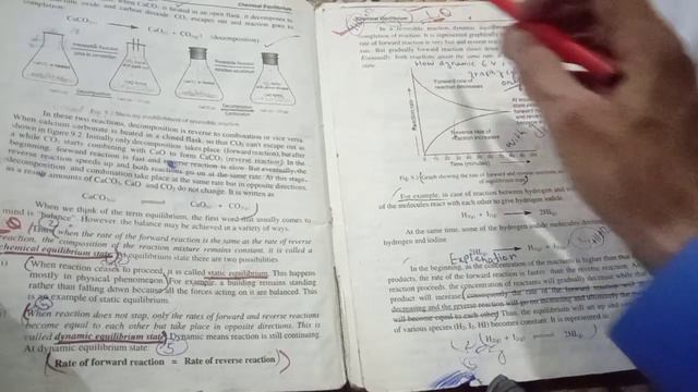 chemical equilibrium CH 9 important short questions and long Questions class 10 chemistry PTB|| смотреть онлайн
