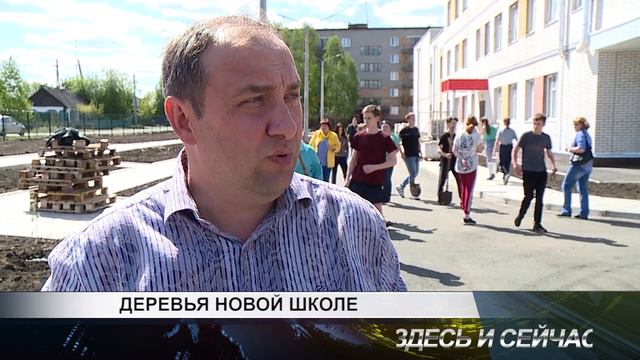 деревья новой школе смотреть онлайн