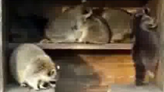 Вася выдыхай смотреть онлайн