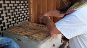 Что ставить первым на улей: магазин или корпус