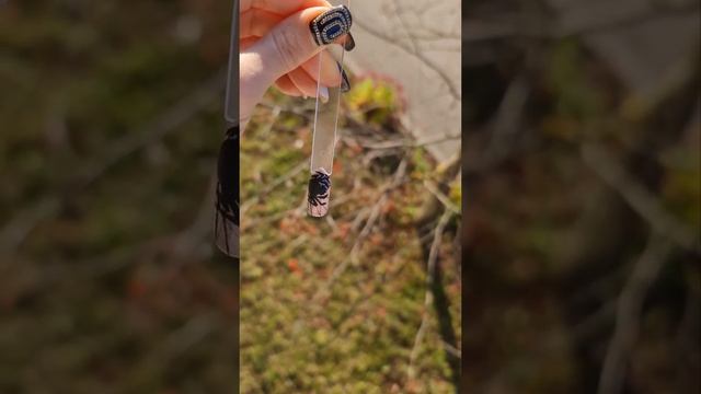 Маникюр на хэллуин. Рисовала паучка первый раз ?