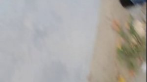 Разборка Ford снимаем подушку безопасности с руля