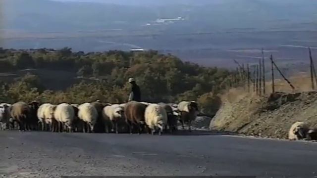 DHIAVA - THE AUTUMN JOURNEY ---GREEK Sheep Drive- Original 50mins video смотреть онлайн