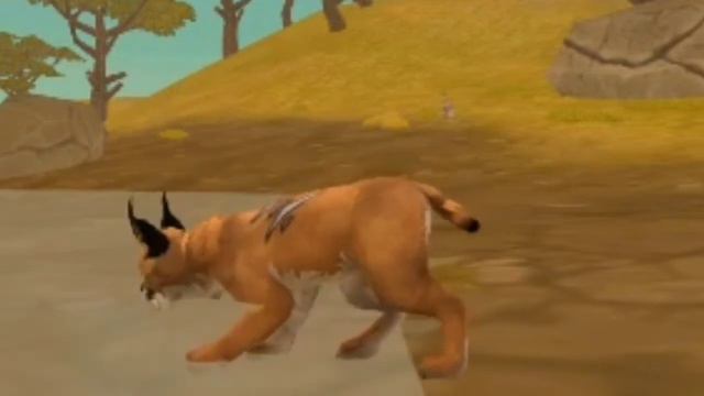 мини фильм Wild craft" Вот что значит любовь РОДНИ"(наподение на рысёнка) смотреть онлайн