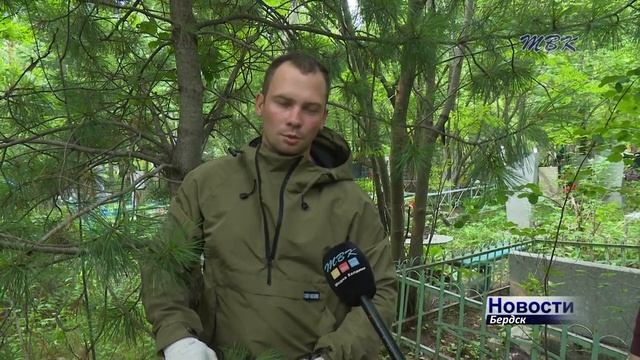 «Дорога к обелиску»: заброшенные могилы ветеранов приводят в порядок бердские добровольцы смотреть онлайн