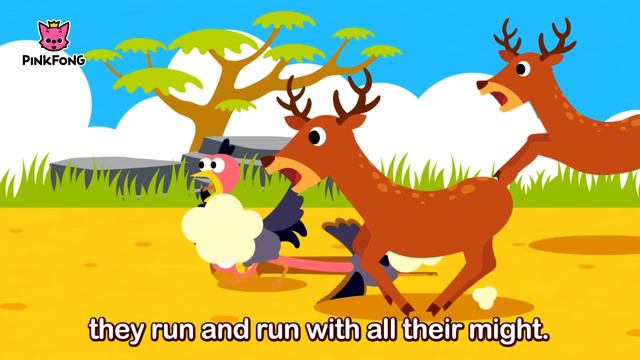 The Lion | Animal Songs | PINKFONG Songs for Children смотреть онлайн