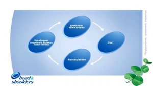Head & Shoulders Как работает шампунь “Успокаивающий уход“