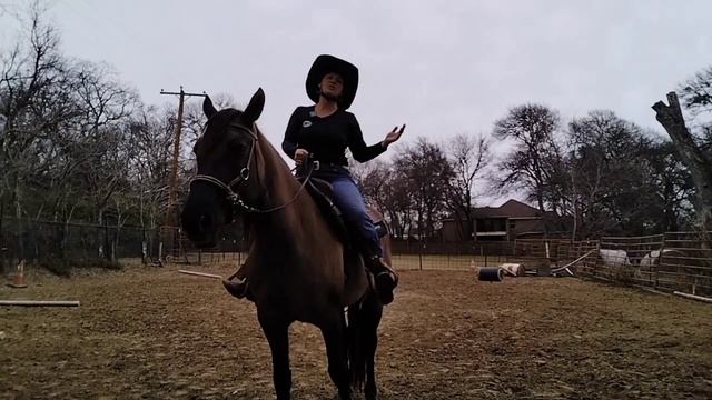 Bitless - Advantages and Disadvantages of training a horse in a bitless bridle - Sidepull смотреть онлайн