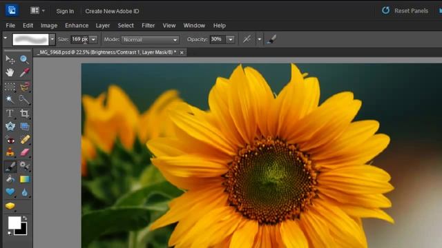Photoshop Elements 10: Adjustment Layers смотреть онлайн