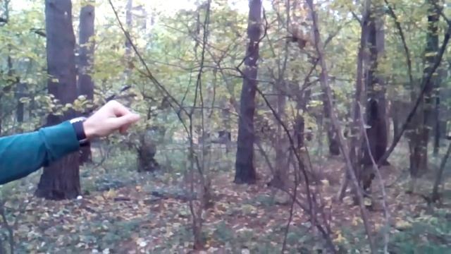 Брокоблог #11 спасите Брэда Питта!!! смотреть онлайн