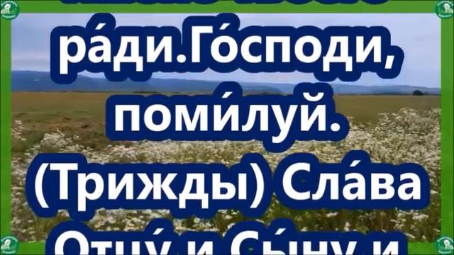 ЭТА МОЛИТВА ПОМОГАЕТ ЕСЛИ ДРУГИЕ МОЛИТВЫ НЕ ПОМОГАЮТ. Читайте 9 раз и будет Вам СЧАСТЬЕ! ЗНАХАРЬ✝☦ смотреть онлайн