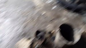 Какие сальники стоят на задних полуосях трактора Т40