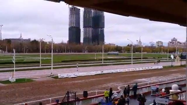 Бега на Московском Ипподроме - Всероссийский День Рысака 2017. ЦМИ - ставки на тотализаторе. Пари смотреть онлайн