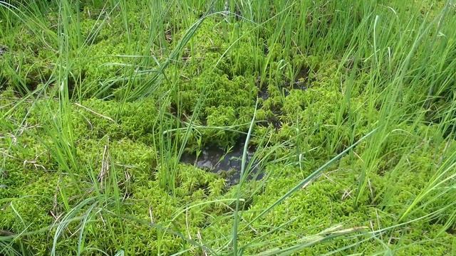 Резиновые сапоги смотреть онлайн