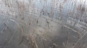 Выживание. Мой взгляд. Как выжить в тяжелое время? как выжить в городе.