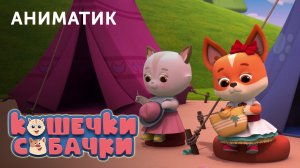 Этапы производства 118-й серии мультсериала «КОШЕЧКИ-СОБАЧКИ» | Студия «Паровоз»