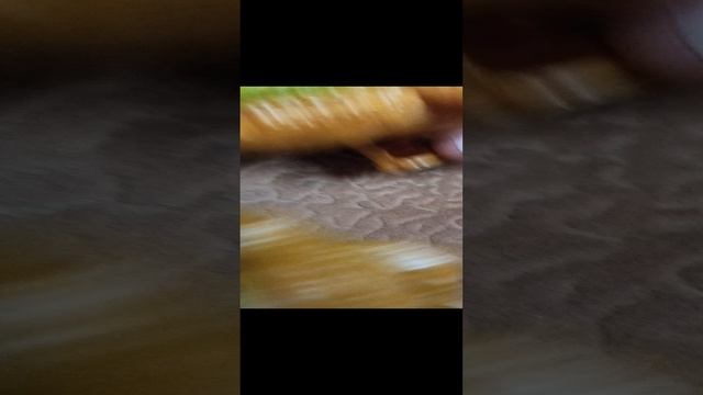 новая форма