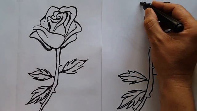 Роза, как да нарисувам цвете - rose drawing coloring page video for kids смотреть онлайн
