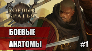 1 Боевые Анатомы // Прохождение Battle Brothers