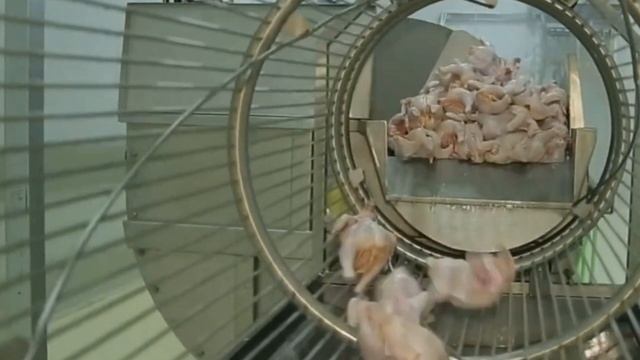 Chill Your Way to Perfect Poultry with Eruis Pre-Chilling Machine смотреть онлайн