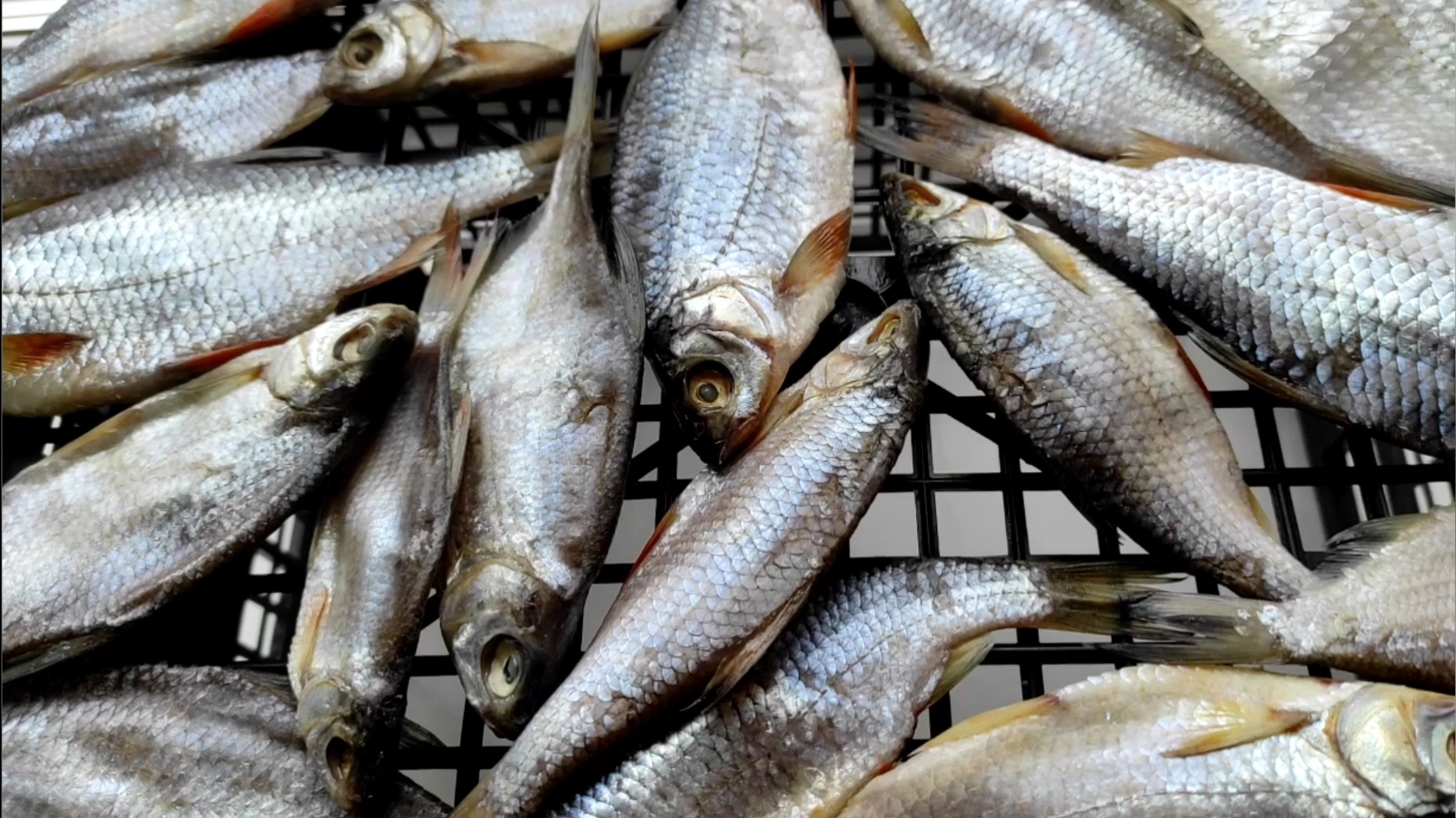 Сухой Посол рыбы Самая вкусная ВЯЛЕНАЯ РЫБА которую не нужно вымачивать! смотреть онлайн