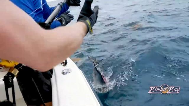 Девон Ларратт против гигантской рыбы