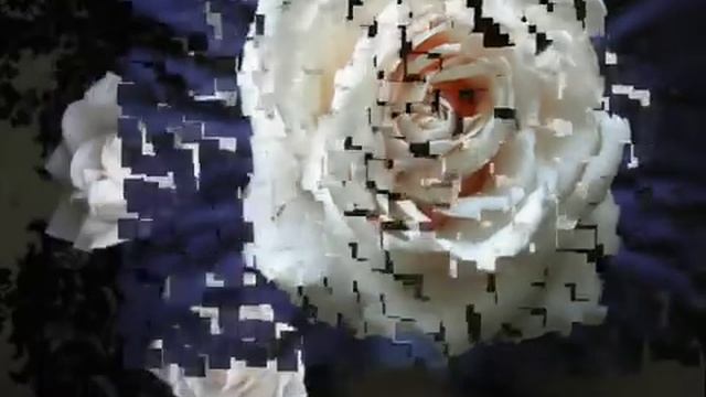 Поль Мориа. Цветы.. смотреть онлайн