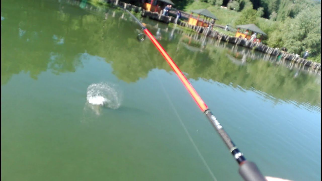 Форель Лагуна— Мисайлово trour смотреть онлайн