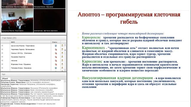 Кроветворение.mp4