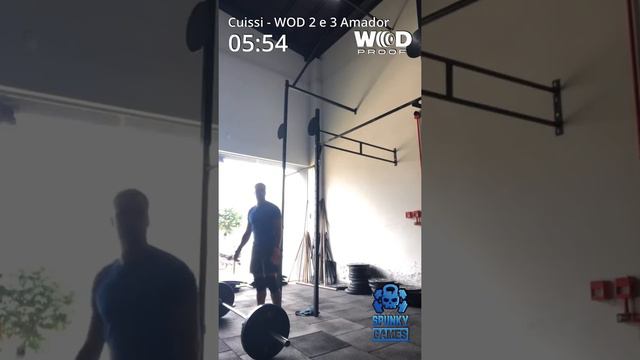 Qualifier Online Spunky Games 2020 - WOD 2 e 3 (Amador) смотреть онлайн