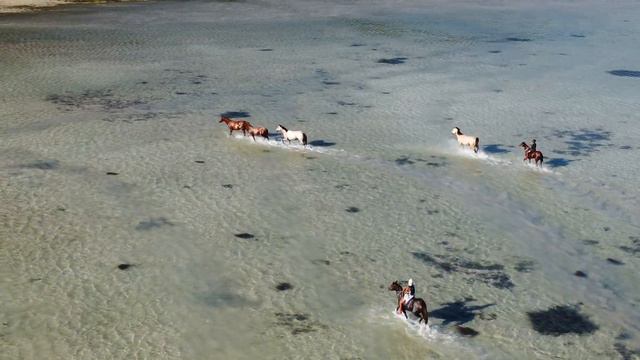 Palm island Lads out for a ride смотреть онлайн
