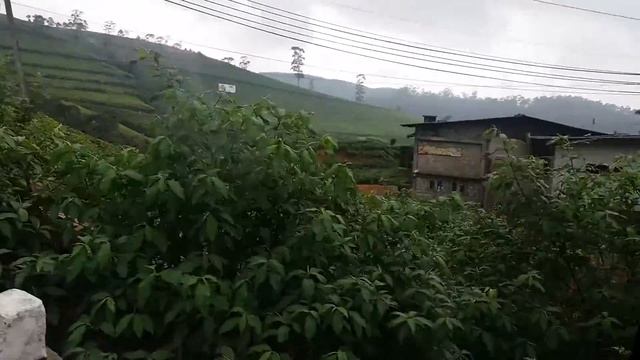 Нувара-Элия, Шри-Ланка смотреть онлайн