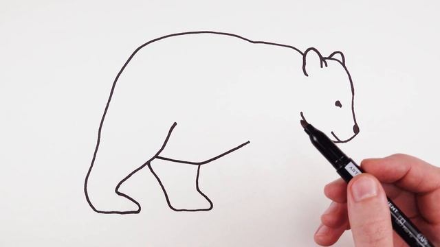 How to Draw a Bear Easy | Animals Drawings for Beginners смотреть онлайн