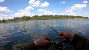 БЕШЕНЫЙ КЛЕВ окуня на реке + БОНУС! Первая РЫБАЛКА с НОВЫМ Favorite Blue Bird 2020