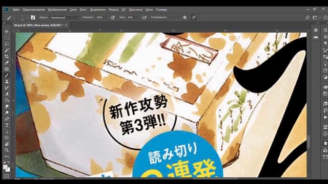 Клин обложки Яркая Чихая (Manga Cleaning) смотреть онлайн