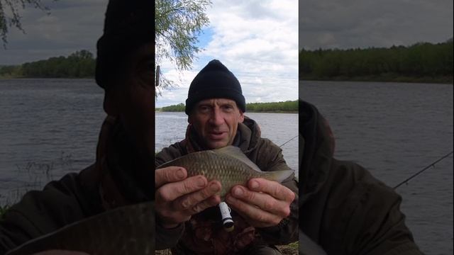 ПРИЯТНЫЙ СЮРПРИЗ. РЕЧНОЙ КАРАСЬ. смотреть онлайн