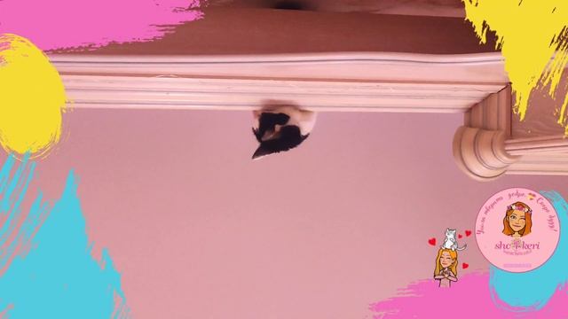 ? Мир 16 котиков: ещё мы падать на меня любим кубарем ? смотреть онлайн