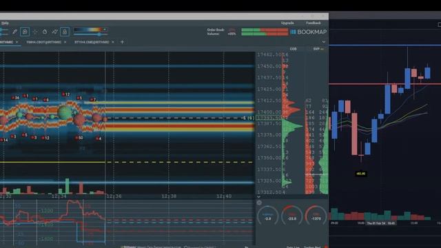 Live Trading & Education - February 1, 2024 смотреть онлайн