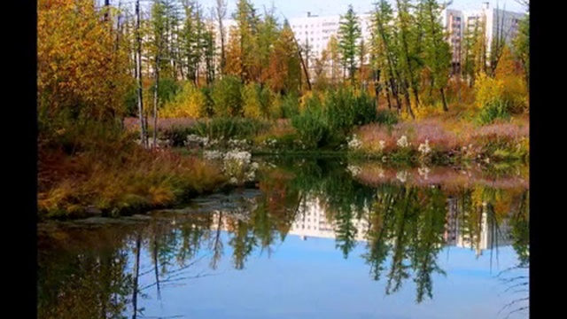 Как без тебя прожить мне