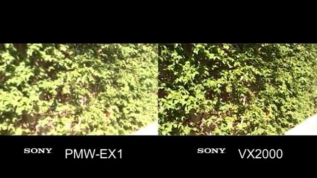 Sony PMW-EX1 / Sony VX2000 - comparison test смотреть онлайн