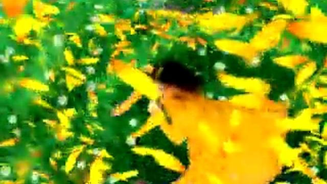 Олія "Стожар" - вихід смотреть онлайн