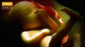 16 неделя беременности  Развитие плода  Как себя чувствует беременная  Как выглядит ребенок