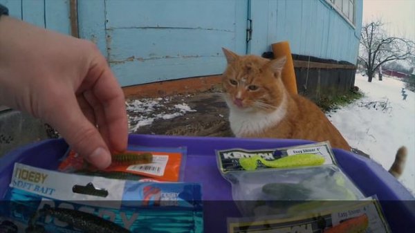 Тест съедобной резины (Keitech, Reins, Noeby) - проверка на кошках.