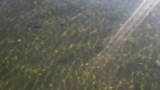 Озеро Увильды, база отдыха "Заря" смотреть онлайн